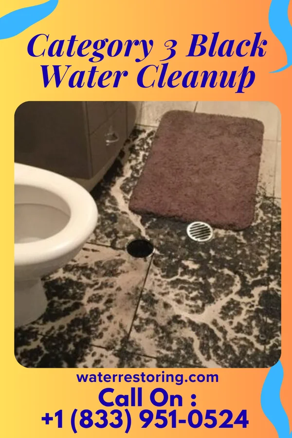 Category 3 Black Water Cleanup in Lake View, TX